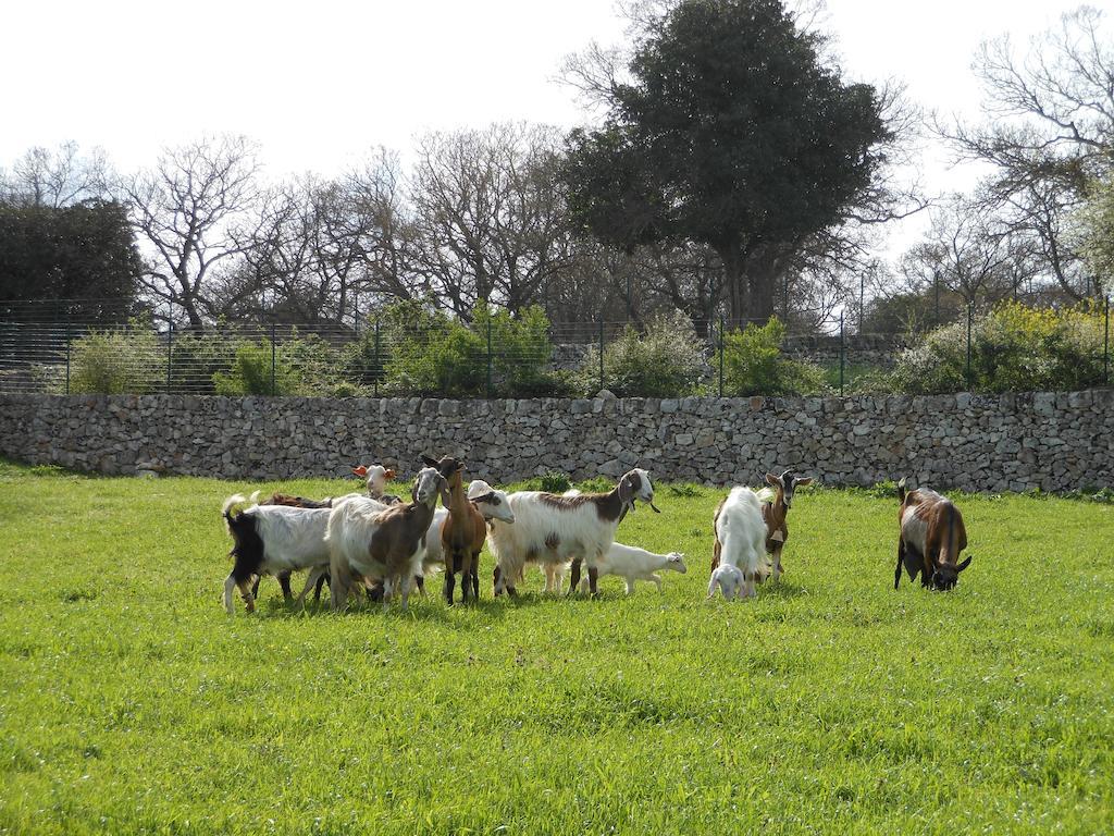 Vila Agriturismo Masseria Casedde Vecchie Martina Franca Exteriér fotografie