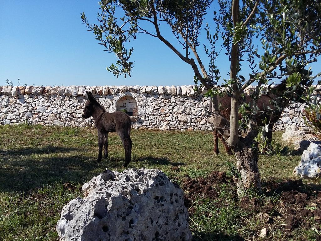Vila Agriturismo Masseria Casedde Vecchie Martina Franca Exteriér fotografie